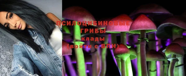 гидропоника Медногорск