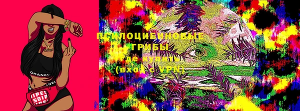 а пвп мука Медвежьегорск