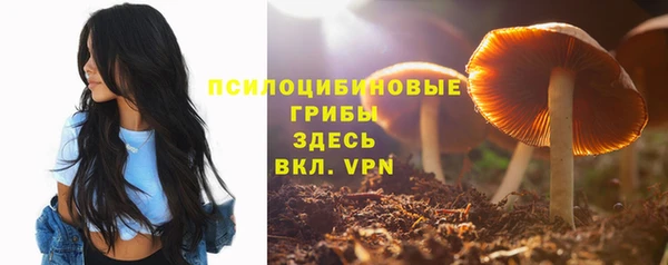 а пвп мука Медвежьегорск