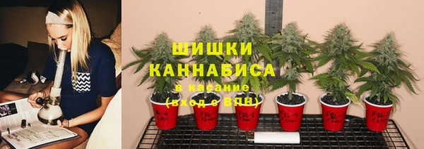 а пвп мука Медвежьегорск