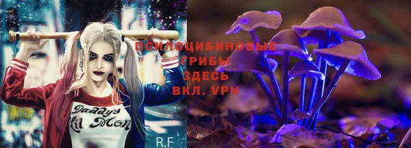 гидропоника Медногорск