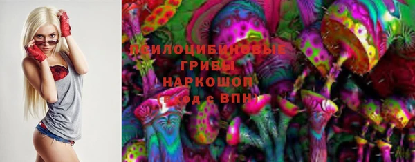 гидропоника Медногорск