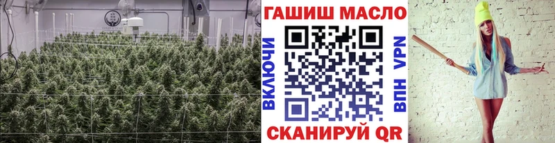 хочу Шимановск ТГК вейп
