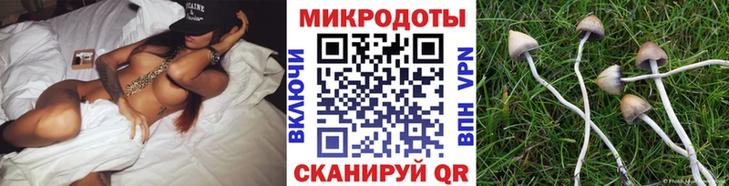 Галлюциногенные грибы ЛСД  мориарти официальный сайт  Шимановск 