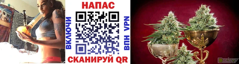 МАРИХУАНА Bruce Banner  Шимановск 